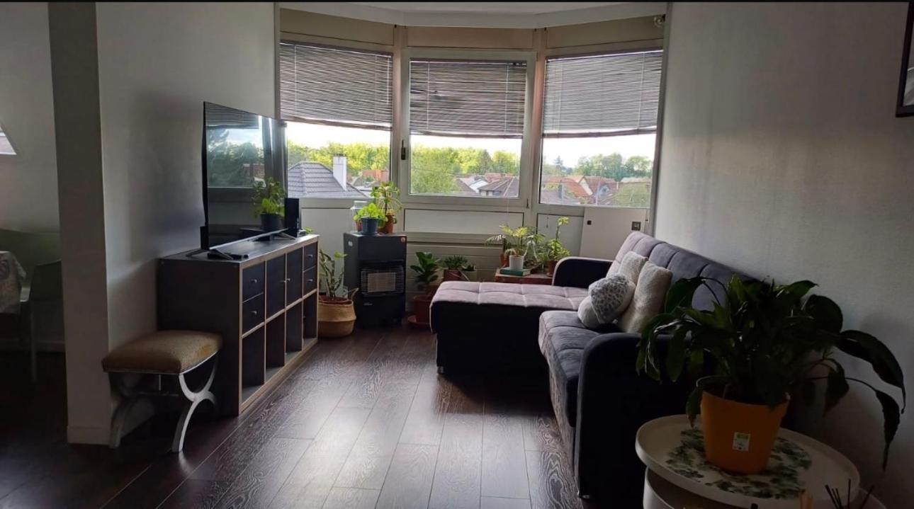 Habitacion Privada Wolfisheim Eksteriør bilde